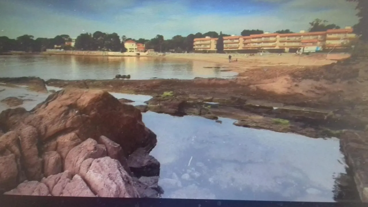 Le Privilege Location Du Samedi Au Samedi Uniquement Apartment Saint-Raphael  France